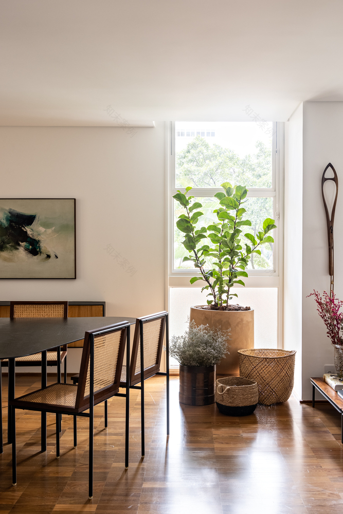 Abboud 公寓翻新项目丨巴西圣保罗-20