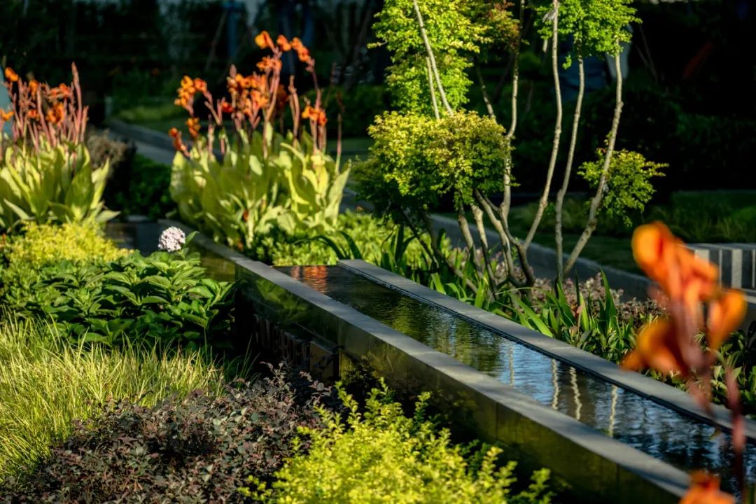 微笑无限,生活无界 | 皖赣旭辉·滨湖江来(大区)-148