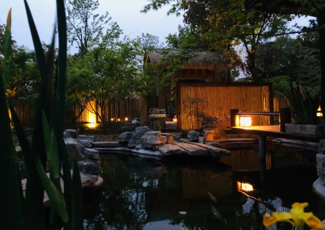 归田园居 | 懒人营造的禅意庭院-33