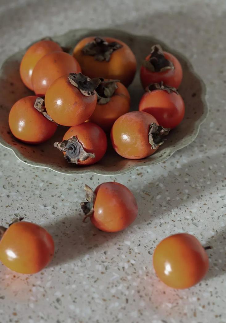 有限空间中的共生世界-24