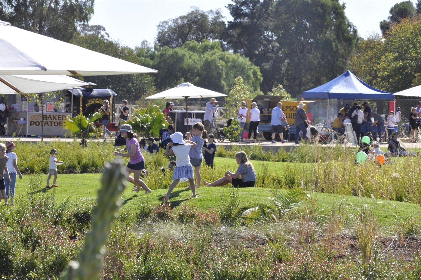 未来花园丨澳大利亚丨泰勒·卡利尔景观设计事务所-17