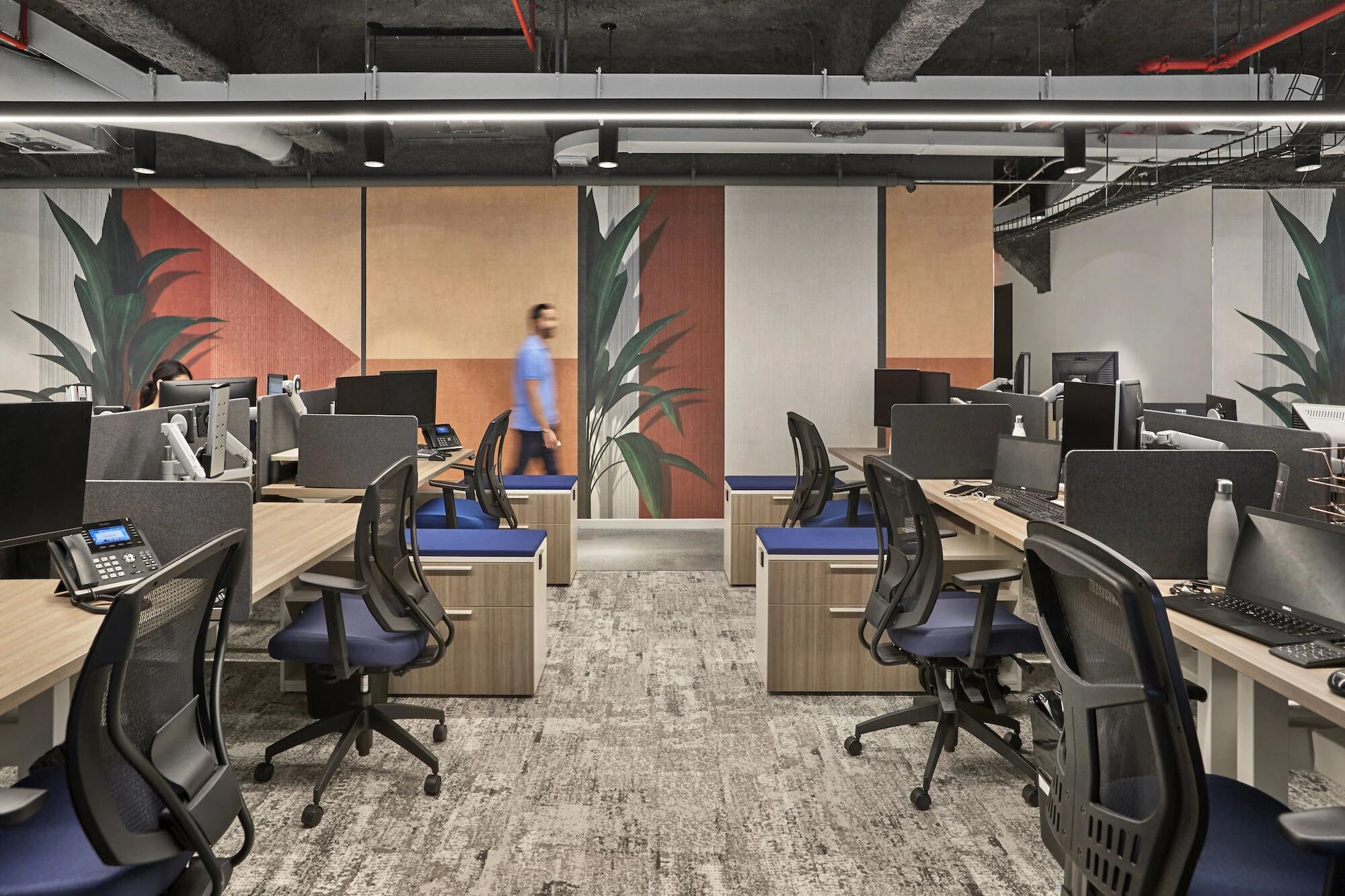 Friedman LLP 纽约总部设计丨美国纽约丨MKDA-6