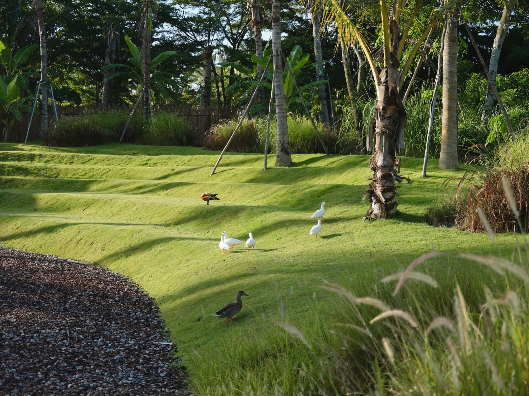 麓湾水集丨中国万宁丨昱道景观-137
