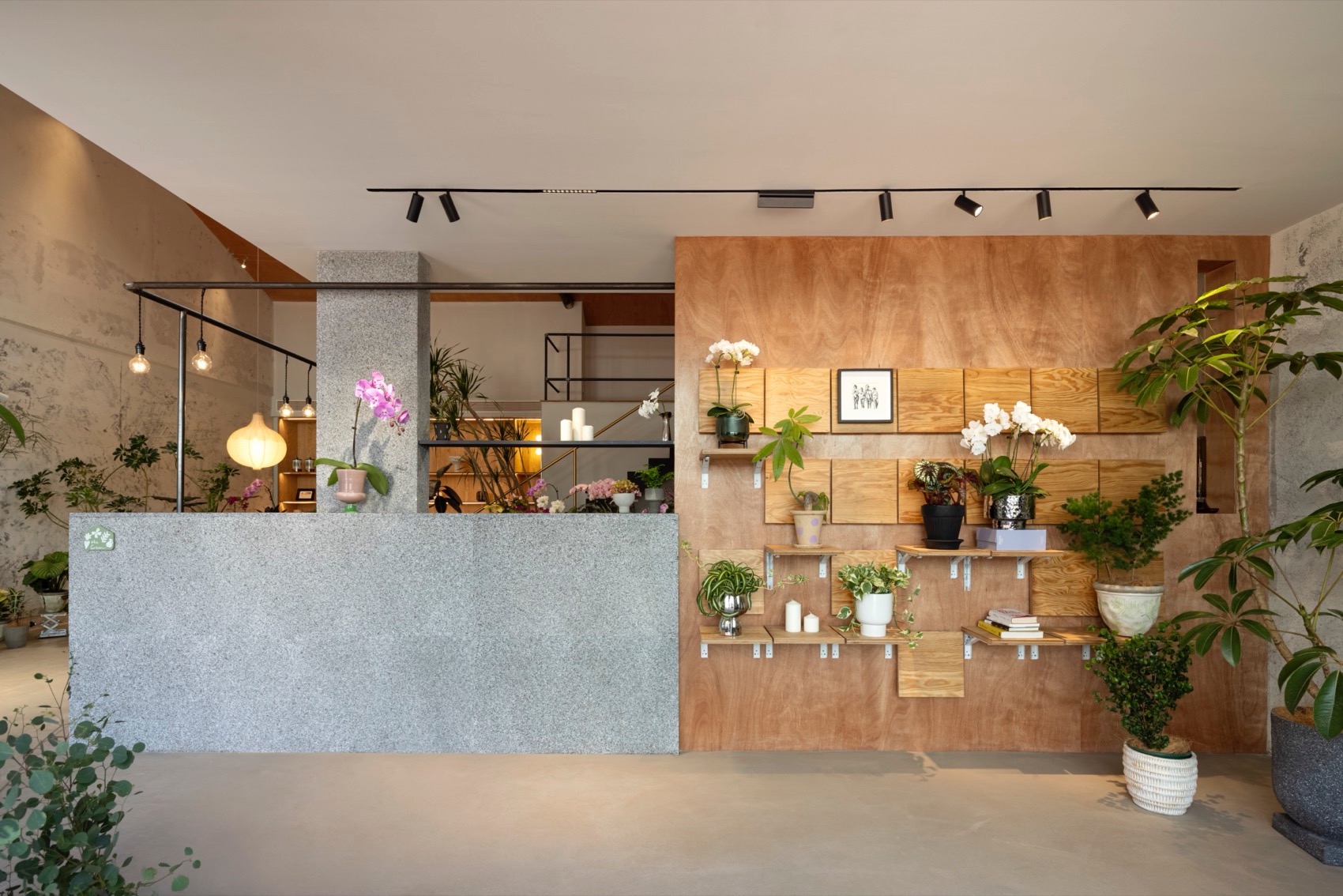 义乌苍仓植物零售空间丨见筑未来-5