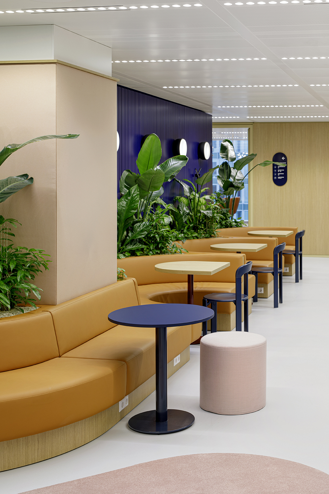 丨荷兰阿姆斯特丹-12