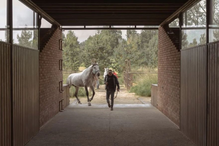 马术圣拉蒙丨墨西哥丨Módica Ledezma-25