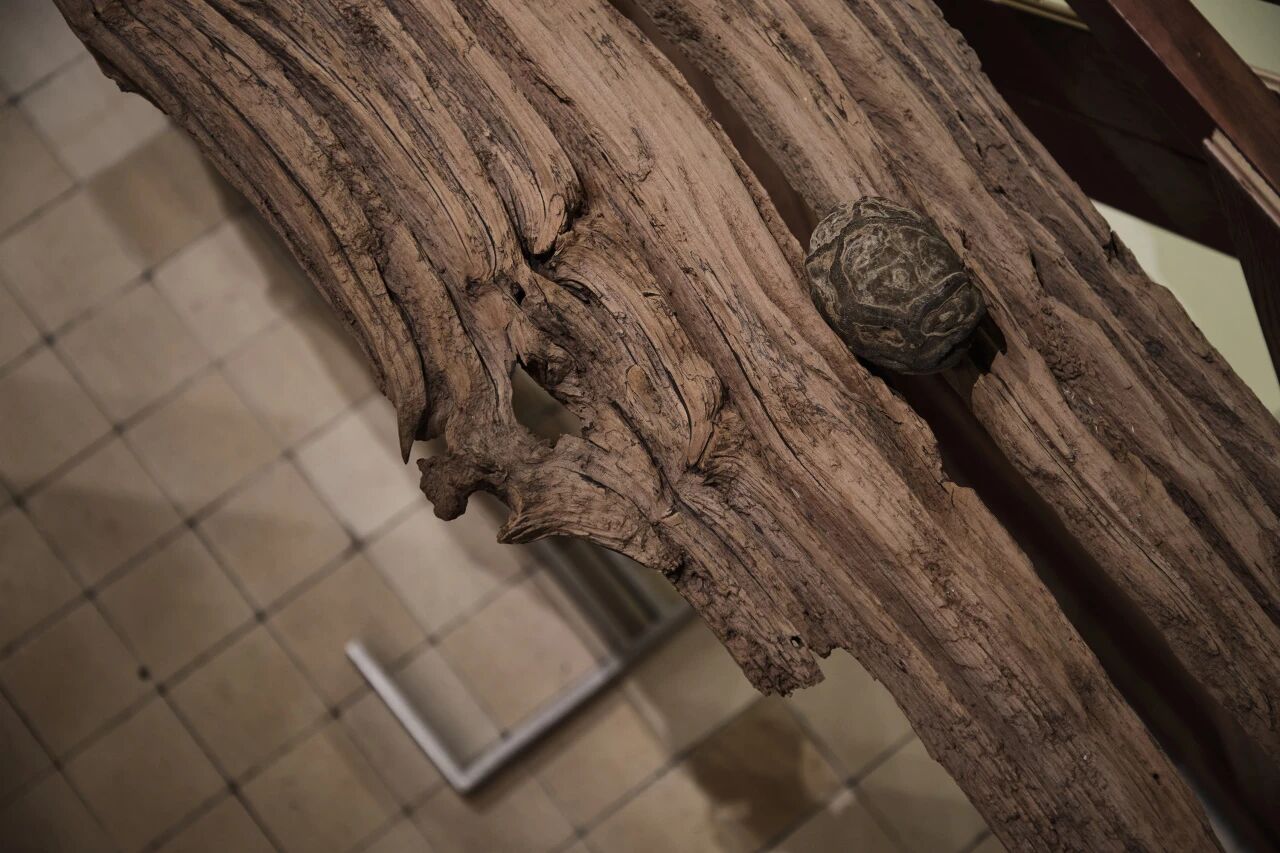 璇室 · 术木地板丨中国杭州丨泛域设计Fununit Design  More-71