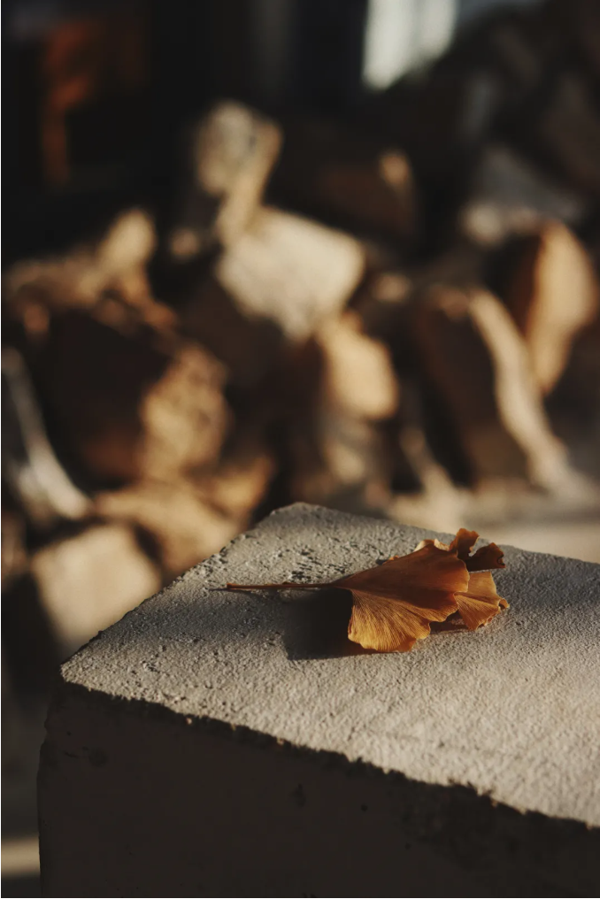 自然之韵 | 户粒咖啡的永智农场二期项目-18