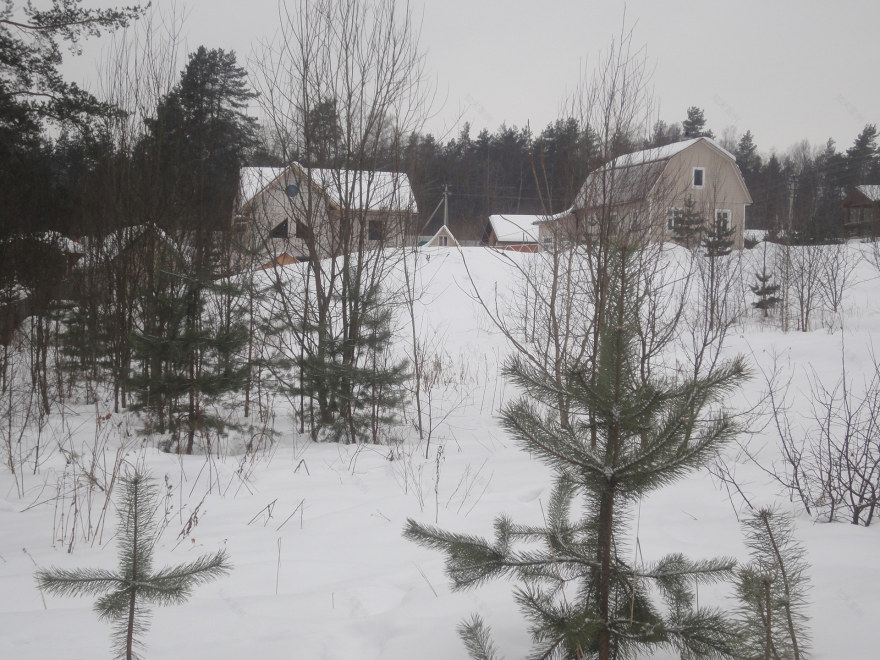 郊区房屋美化与绿化项目-5