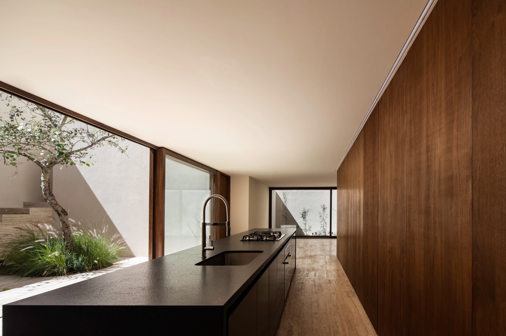 Sabino 10 住宅丨墨西哥丨Editorial-22