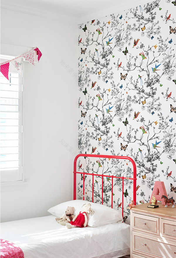 澳大利亚帕丁顿多彩折衷风格家居-24