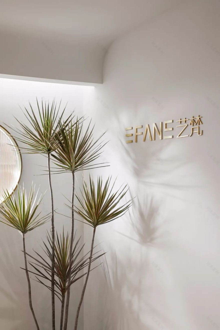 杭州艺梵普拉提馆 | 废旧材料二次利用,打造人猫共享空间-4