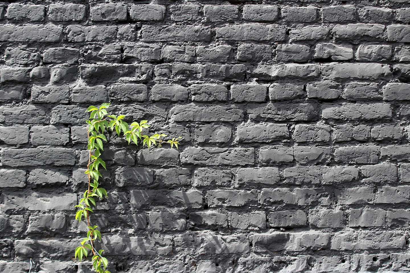 文化工厂 · 匈牙利工业遗址重生-30