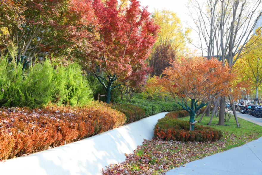 阿里巴巴北京朝阳科技园景观设计丨中国北京丨阿普贝思UP+S-50