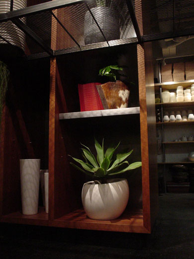 外苑前FLOWER SHOP观叶植物卖场设计丨日本东京丨ao2-20