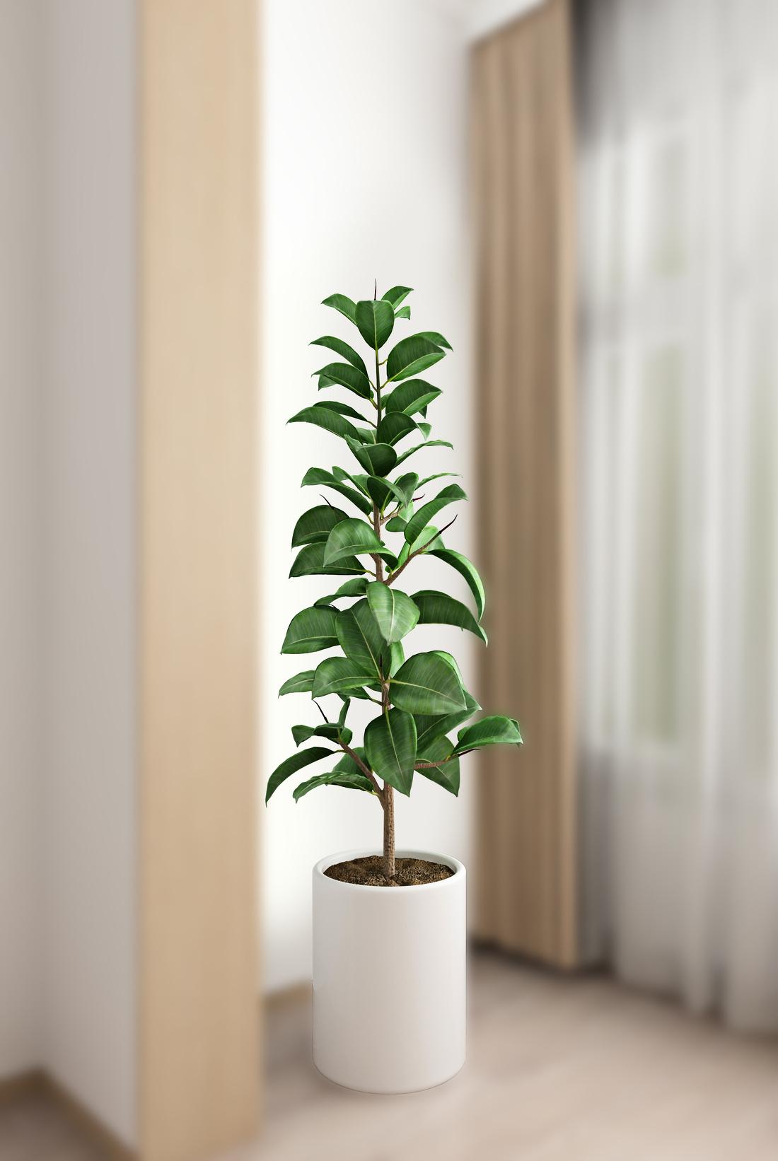 自然温馨的木色家居设计丨中国北京-60