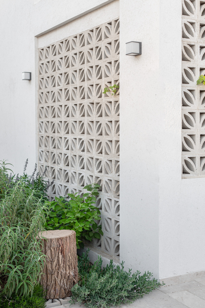 以色列 Goldwasser 别墅丨Architextit Einat ErezKobiler-30