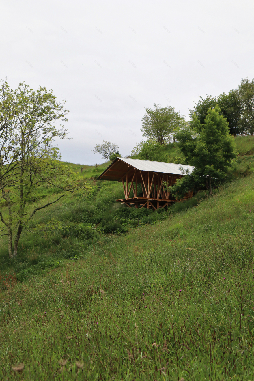 Taller Agropoetico - Foresta Collective / Atelier Poem-28