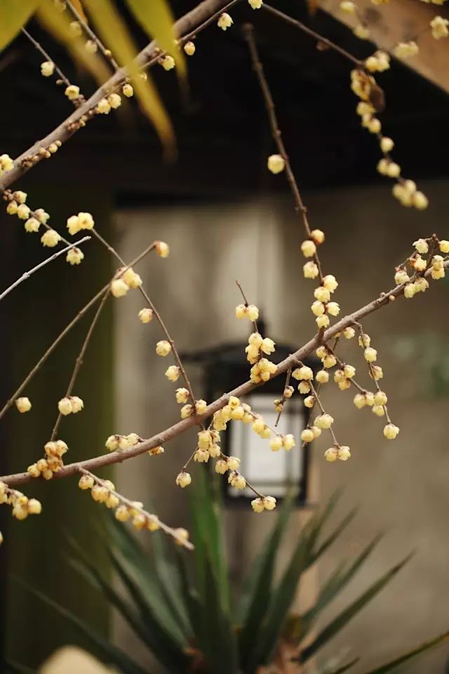 Color Case/90后帅小伙儿仅花3千爆改出租屋后-32