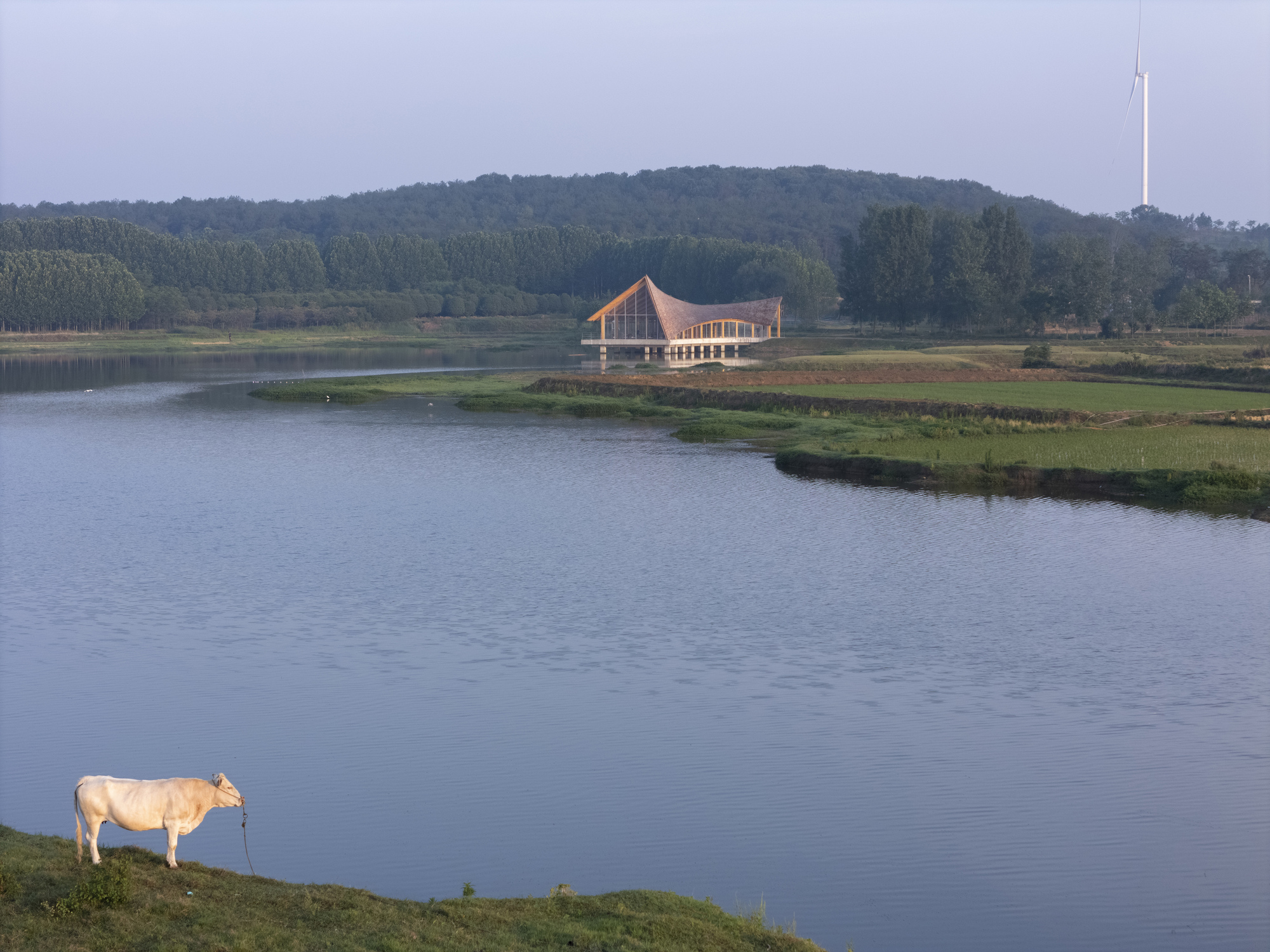 丨中国信阳丨Primary Architects-42