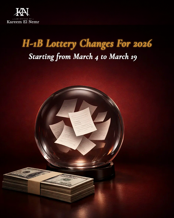 Immigration Law Branding & Content Design-1