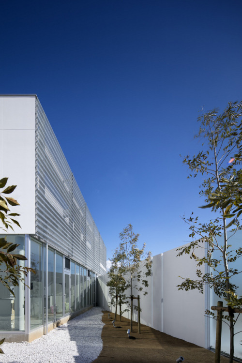 くろさわ歯科丨開建築設計事務所-8