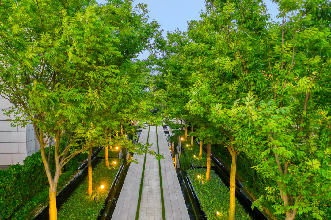 苏州鲁能泰山九号-92