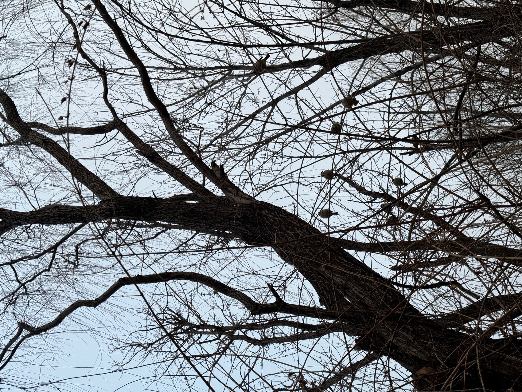 红砖美术馆手机摄影作品,北京 / Kun-95