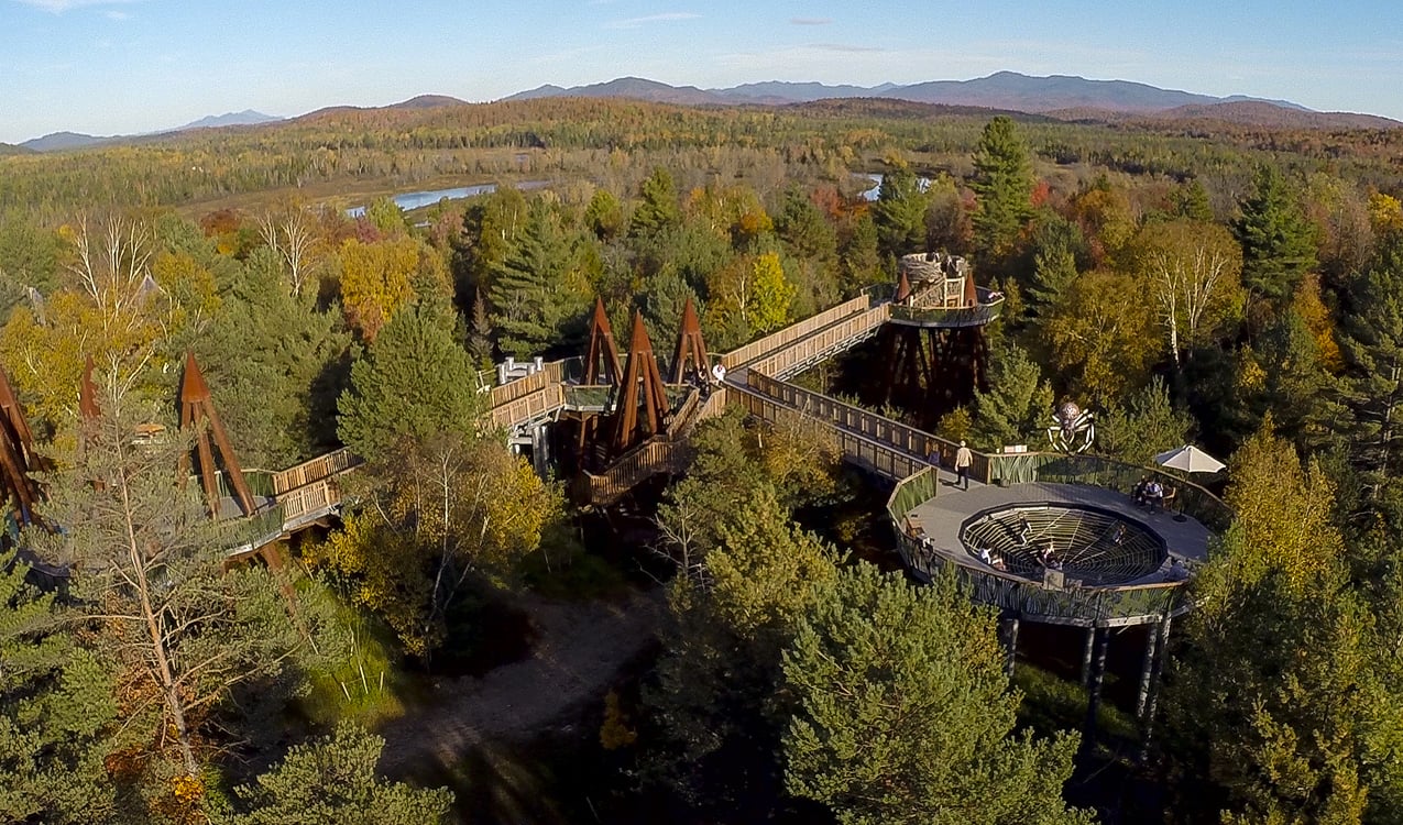 野性漫步 · 融入自然的高空步道设计-26