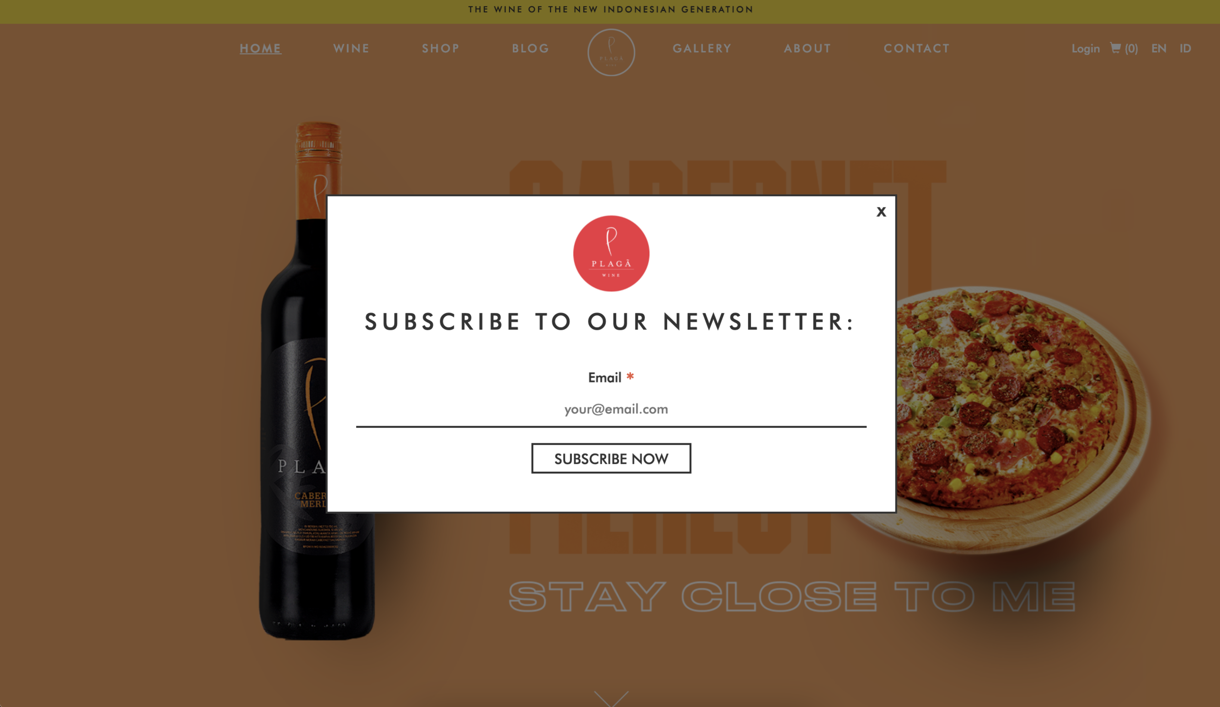 PLAGA WINES品牌重新定位与营销活动设计丨印度丨BrandWorks Jakarta-11