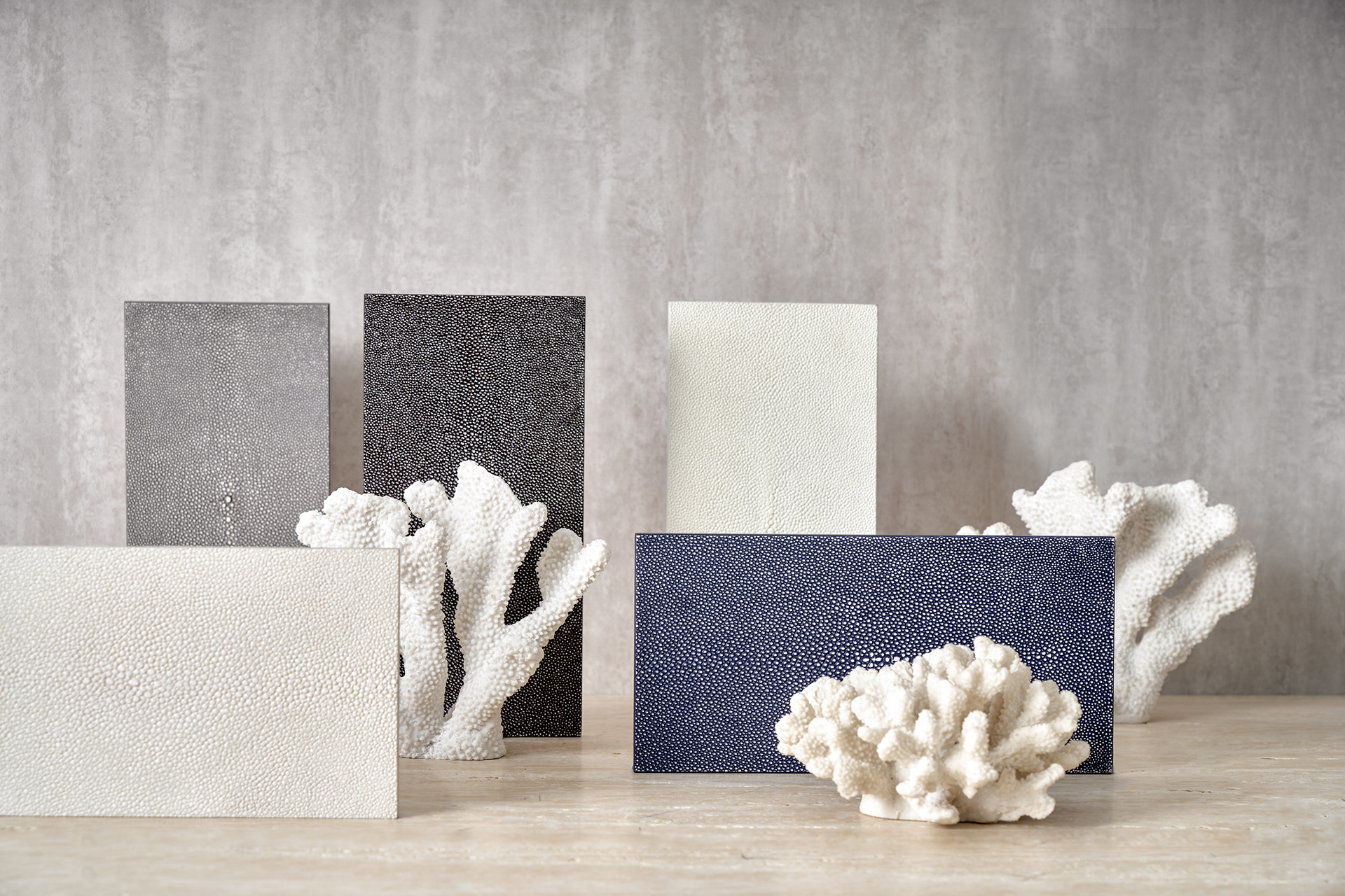 鲨鱼皮线丨FOTORIOR STUDIO-22