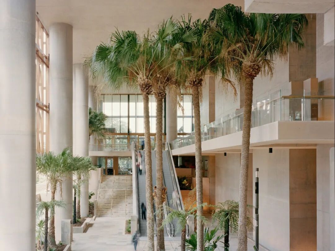 布里斯班北码头205号广场丨澳大利亚布里斯班丨Hassell,REX及Richards & Spence-10