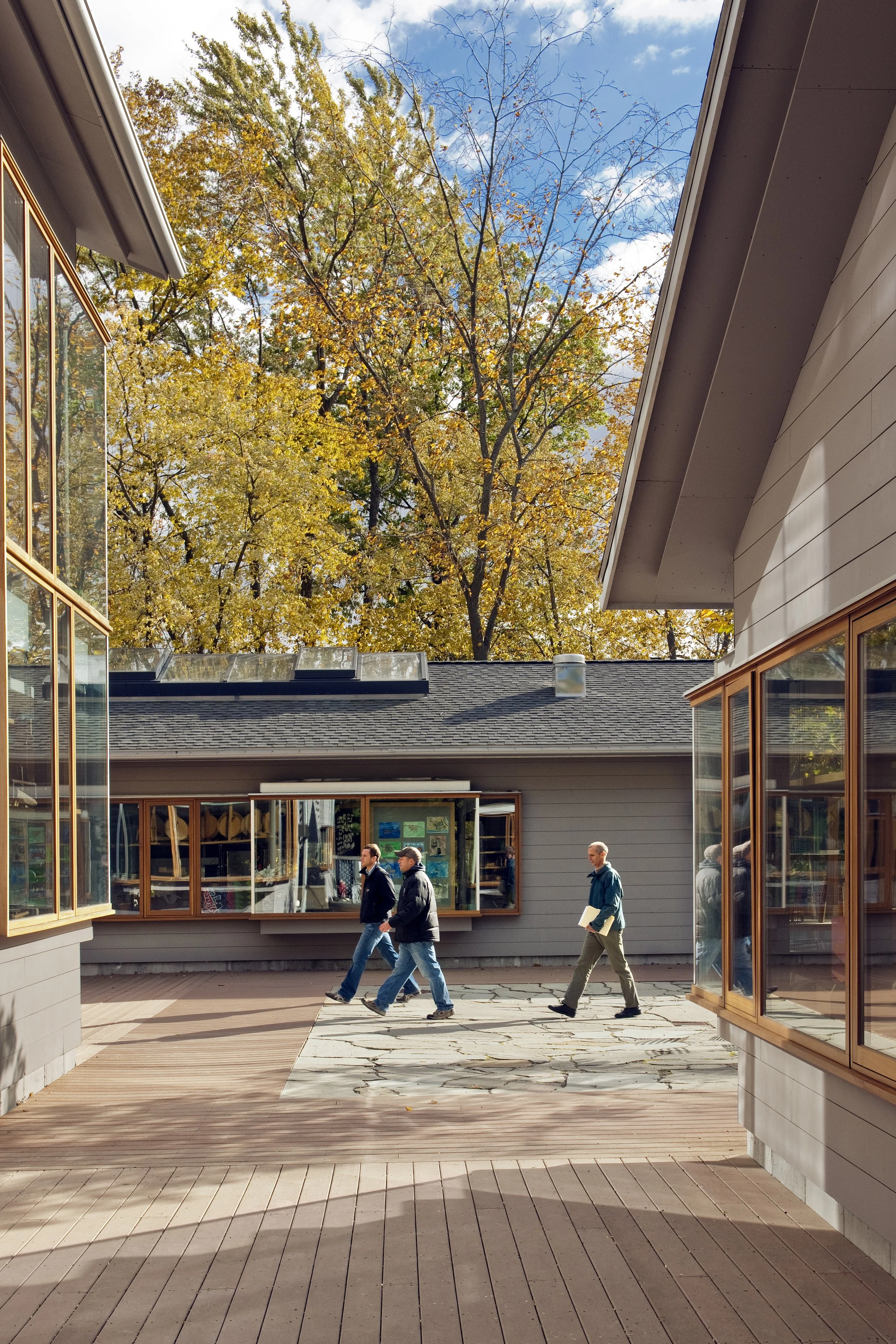 Shady Hill School 扩建项目丨美国丨Machado Silvetti-3