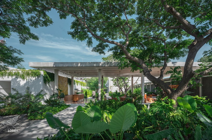 The Standard 度假区景观设计丨泰国丨Shma-19