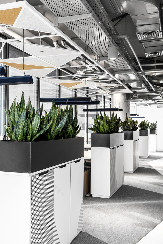 Akamai Tel Aviv 办公室设计-68