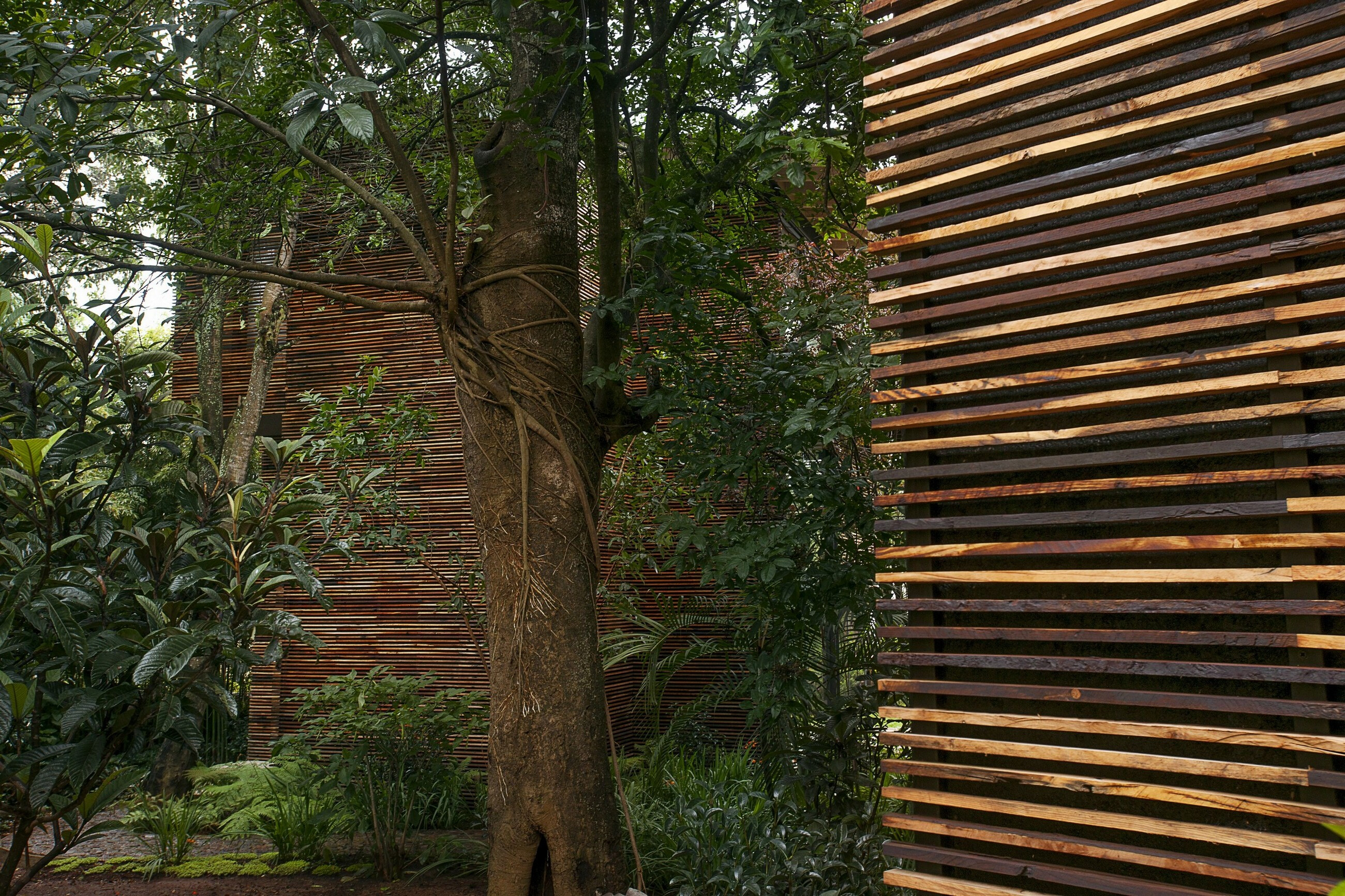 墨西哥简约环保 Chipicas Town Houses-15