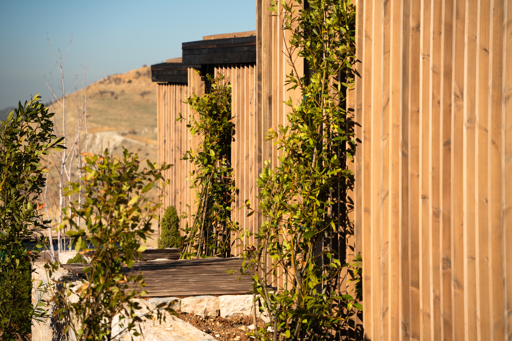 巴基什之家丨黎巴嫩丨AK Architecture Studio-27