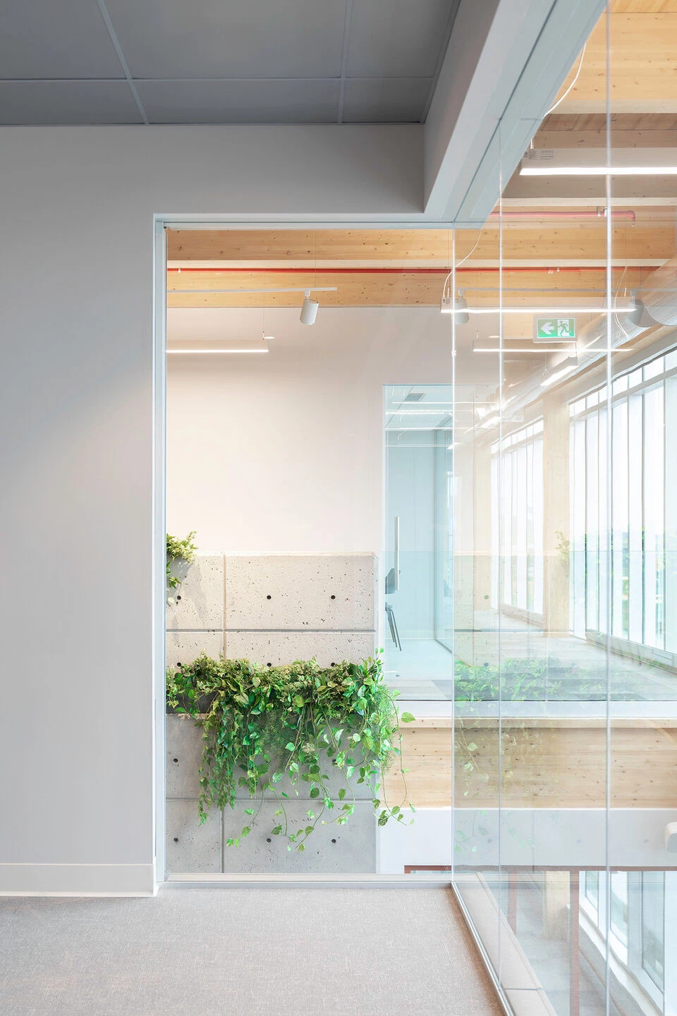 Garoy Construction 新办公室设计丨加拿大魁北克丨Perron 设计工作室-7