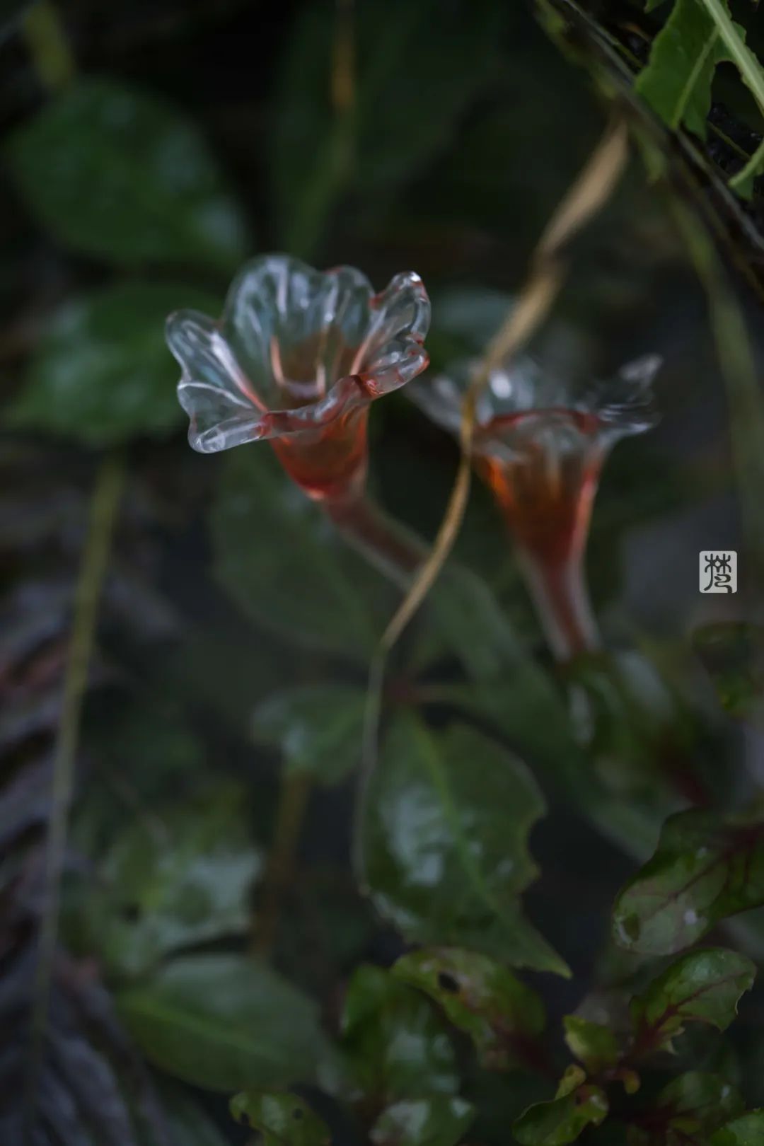 麓湖 B2 黑鉐样板岛丨中国成都丨乐道景观-94