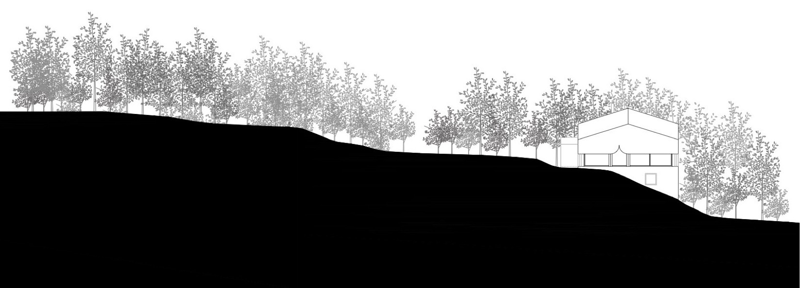 F住宅丨瑞士丨Celoria Architects-40