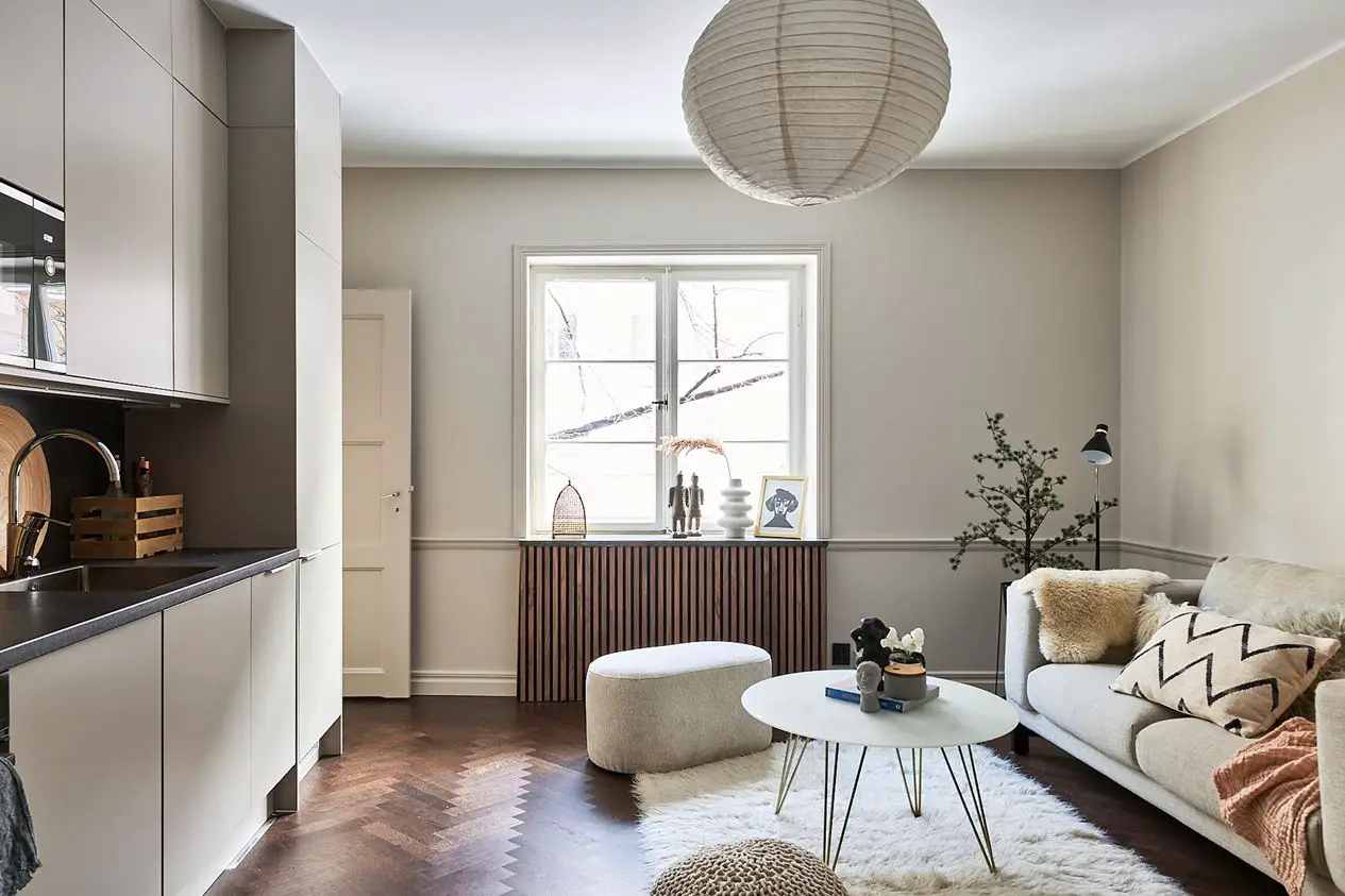 "斯德哥尔摩舒适小户型设计,开放厨房打造温馨生活空间"-3