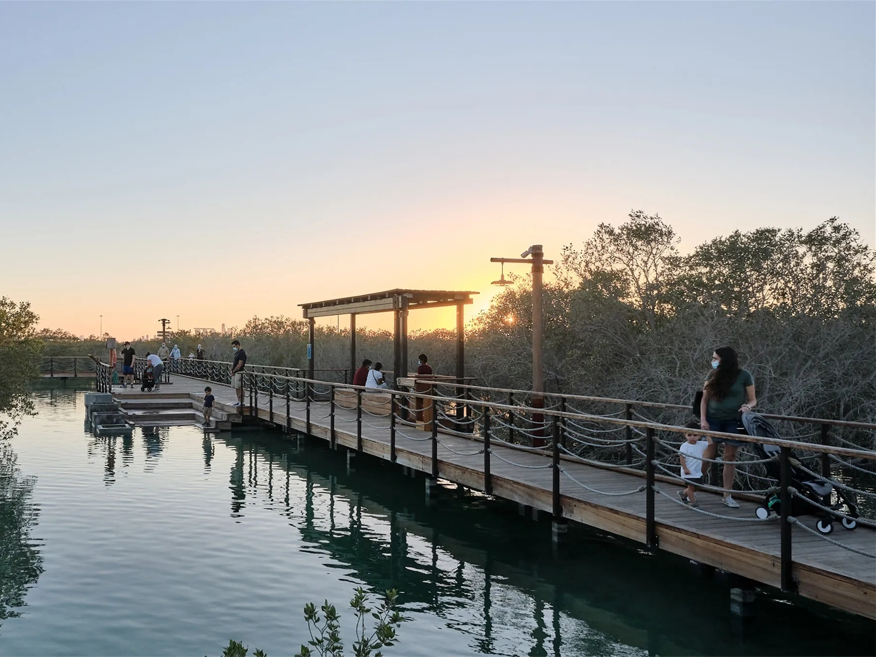 阿联酋红树林公园丨CEBRA Architecture-2