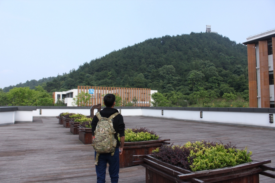 浙江安吉两山茶舍——竹境中的自然饮茶空间-7