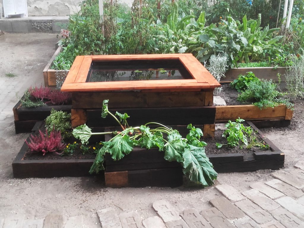 Kisdiófa Közösségi Kert特色水池（或泳池）项目丨匈牙利布达佩斯-22