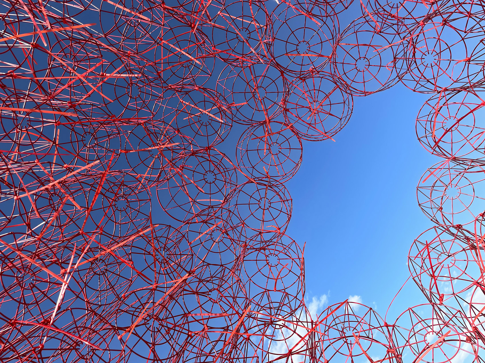 丹岩丨中国北京丨北京林业大学-121