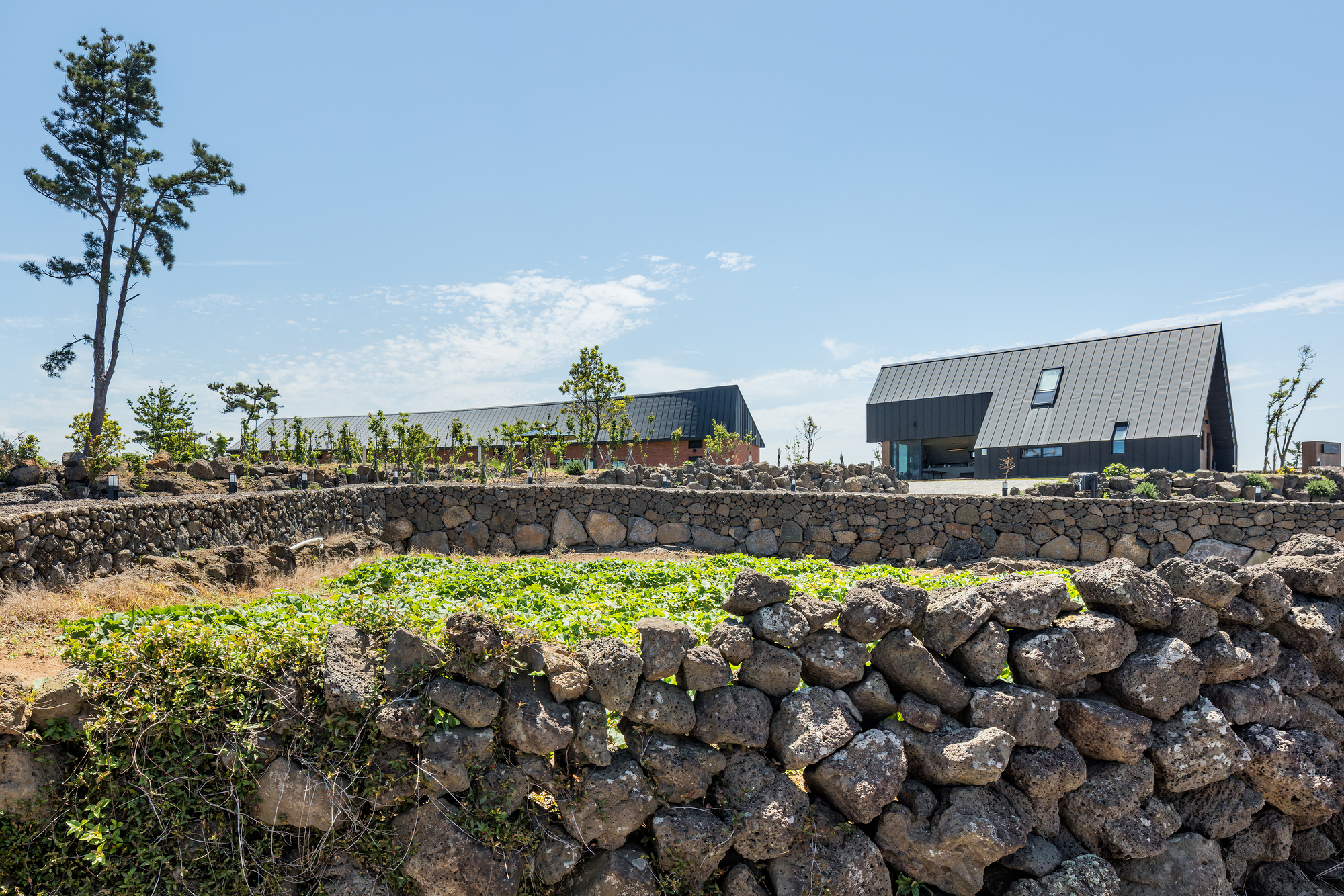 奥亨宰别墅丨韩国丨LIFE Architects-28