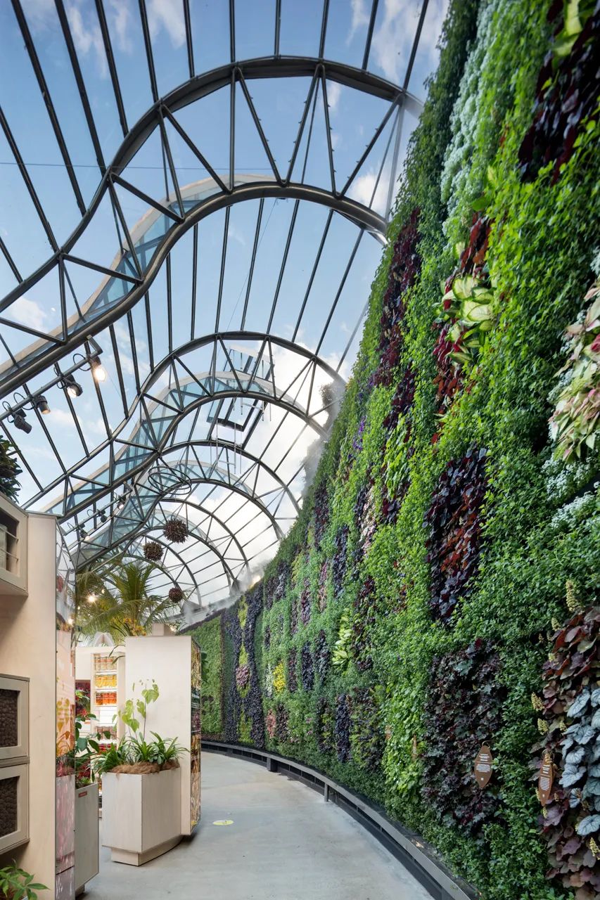 悉尼皇家植物园“花萼”建筑丨澳大利亚悉尼丨PTW Architects-66