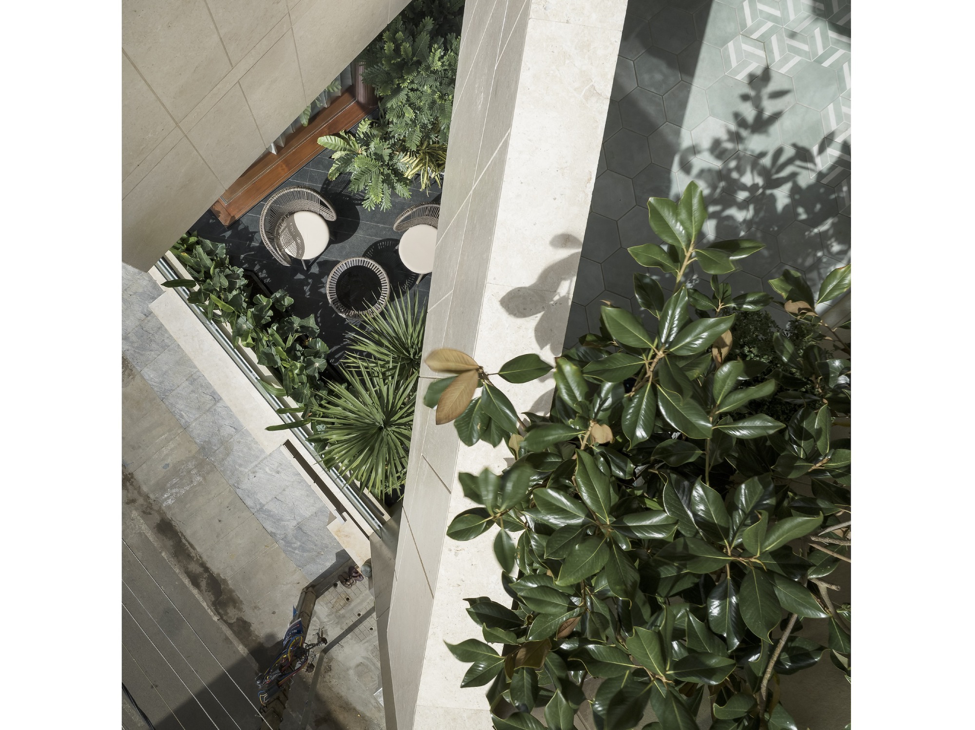 Wedge Villa 别墅丨印度班加罗尔丨Cadence-30