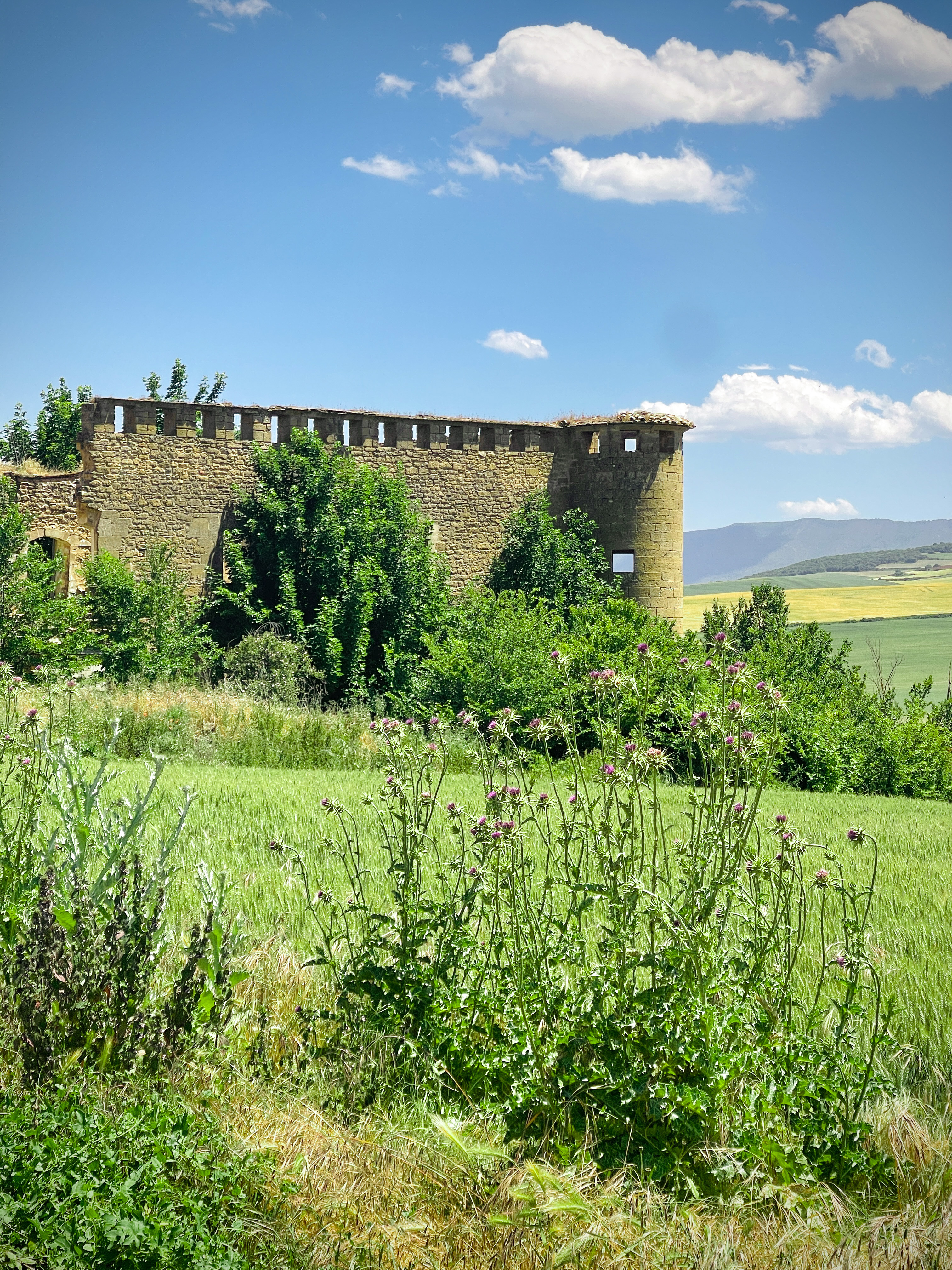 Restoration of the old Guendulain Palace.-16