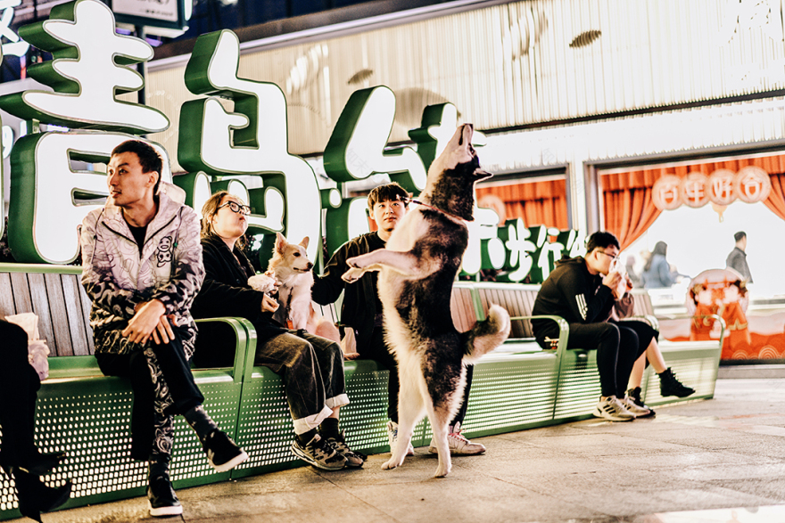 青岛台东步行街改造项目丨中国青岛丨L&A集团青岛分公司公共项目一组-51